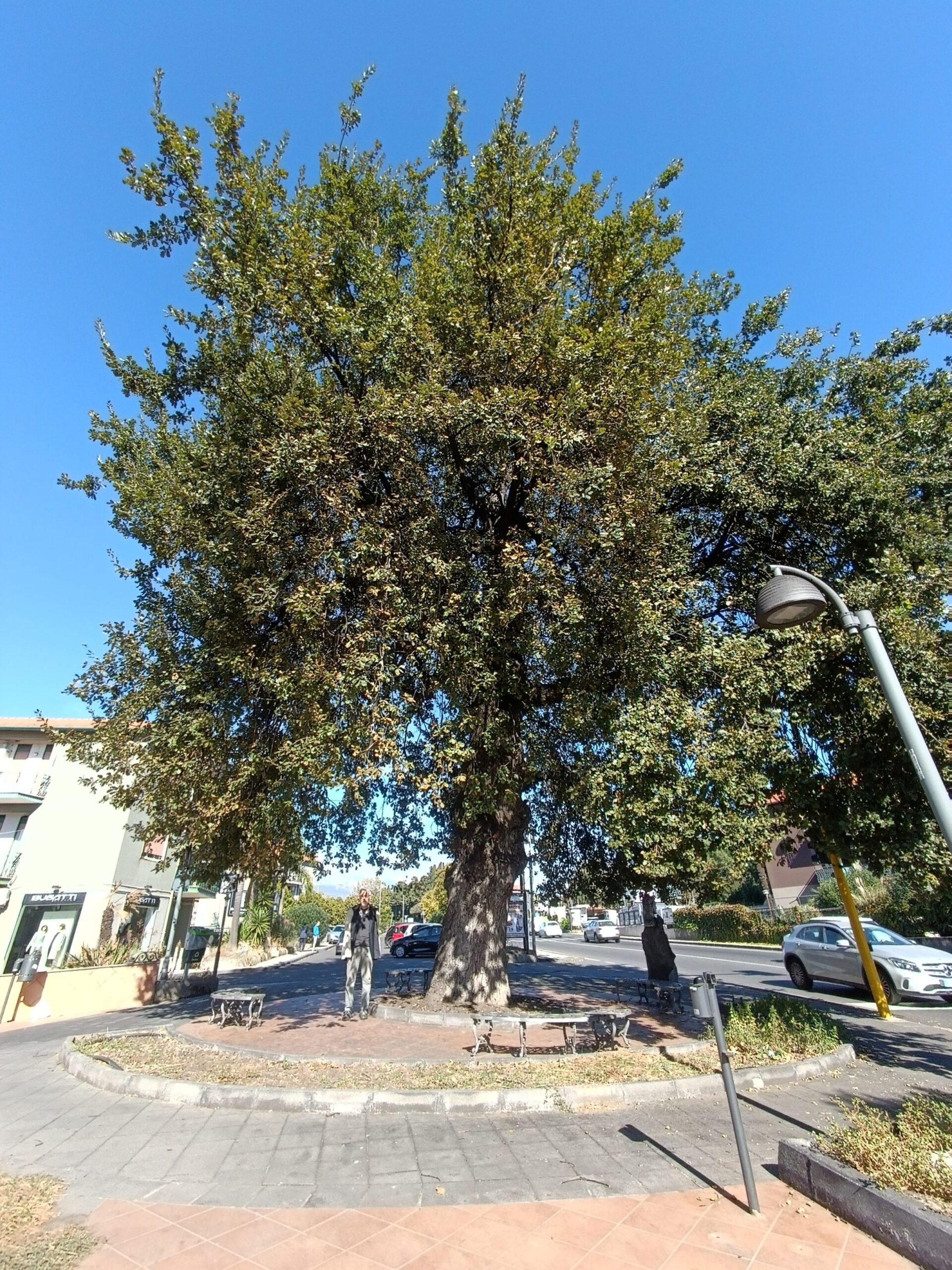LA VIA DEI BOSCHI 3 – Il recupero dell’area pedemontana etnea